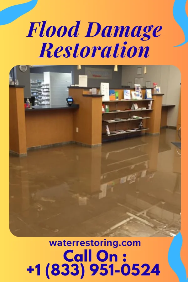 Flood Damage Restoration in Camargo, IL