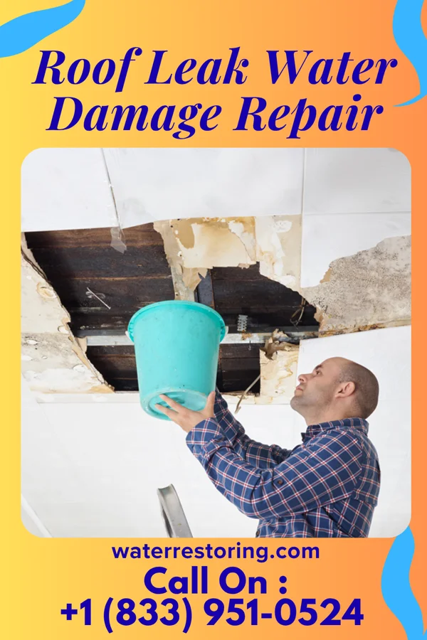 Roof Leak Water Damage Repair in Camargo, IL